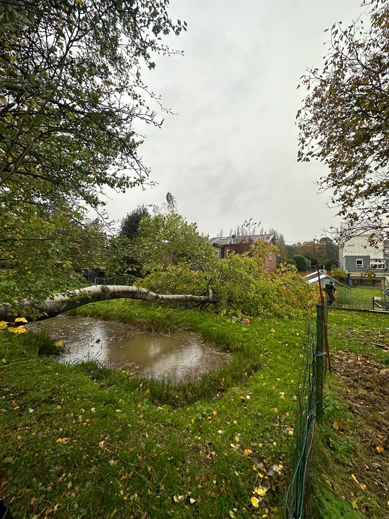 Parc et jardin aménagement bucheron arbre tronc lac Parc et jardin aménagement bucheron arbre tronc lac Entretien jardin La Louvière | Parc | Tim By Nys Timothée Nys Nivelles Mons