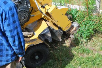 Rogneuse de souche jaune en action sur une pelouse